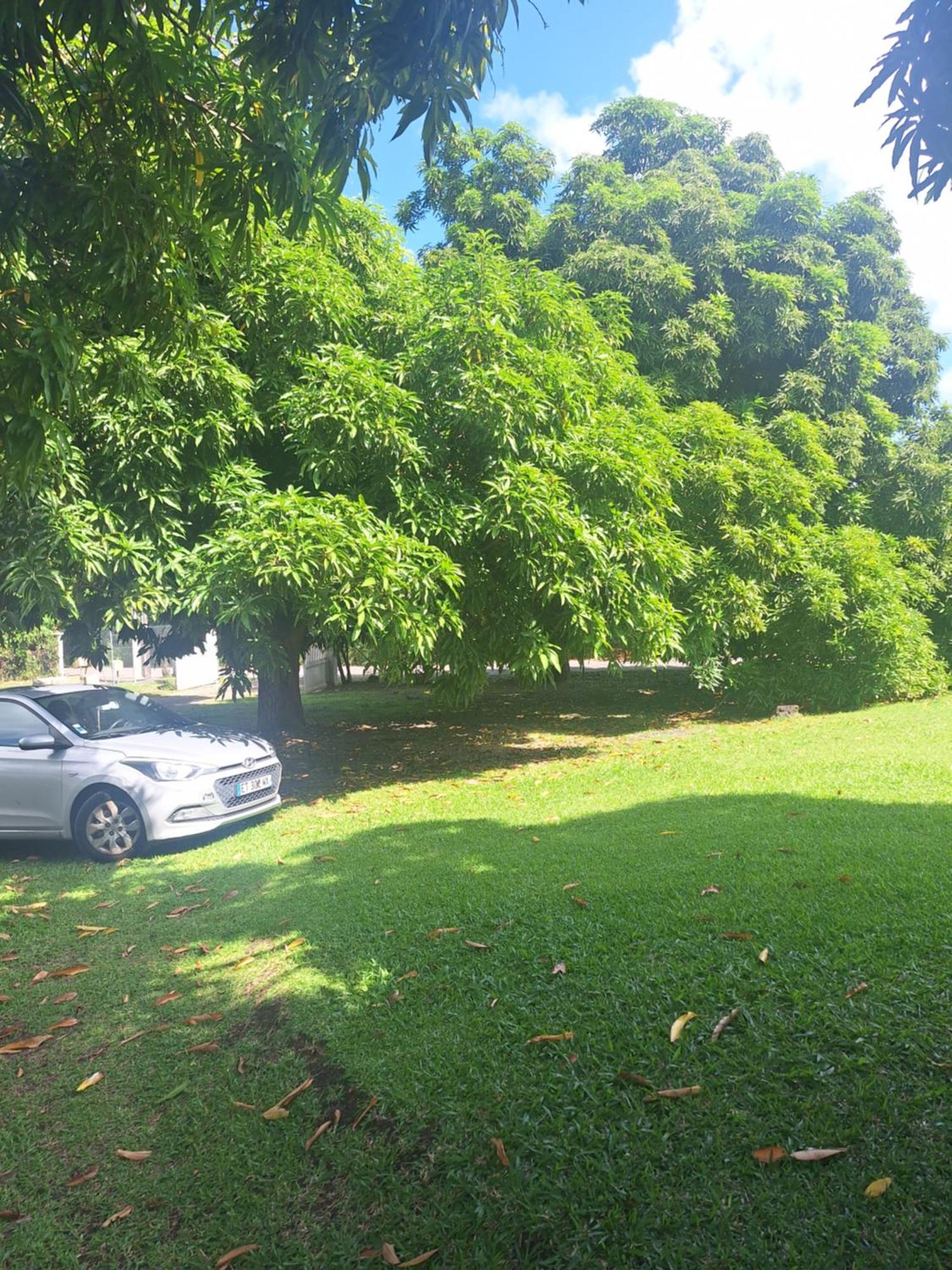 Villa Kikine Le Diamant Luaran gambar